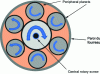 Figure 12 - Sheath cross-section of cold extruder with screw and planetary gears