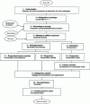 Figure 6 - Different routes to DL industrial production