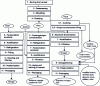 Figure 2 - Vinegar production process