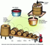 Figure 5 - Aging of traditional PDO balsamic vinegar with decanting from barrels (source: Rapparis)