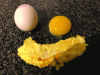 Figure 2 - Examples of egg products