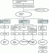 Figure 2 - Starch production diagram