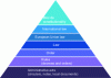 Figure 1 - Hierarchy of standards