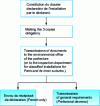 Figure 1 - Diagram of the declaration procedure