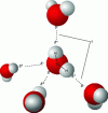 Figure 2 - Hydrogen bonds between water molecules by User Qwerter at Czech wikipedia : Qwerter (Transferred from cs.wikipedia to Commons by sevela.p. Translated to english by Michal Mañas (User :snek01). Vectorized by Magasjukur2 — File :3D model hydrogen bonds in water.jpg, Public domain, https://commons.wikimedia.org/w/index.php?curid=14929959)