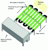 Figure 13 - Schematic diagram of a photobioreactor for microalgae cultivation [68].