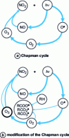 Figure 3 - Modification of the Chapman cycle and ozone production due to radicals generated by VOCs [9]