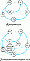 Figure 2 - Modification of the Chapman cycle and ozone production due to radicals generated by VOCs [17].