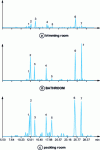 Figure 5 - Chromatograms obtained from air samples taken from onion preparation and packaging rooms in a fruit and vegetable processing and packaging plant.