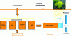 Figure 1 - TME carrier phases and the concept of bioavailability [22] [23].