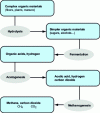 Figure 4 - Schematic process of organic matter degradation