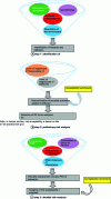 Figure 9 - Expected inputs and outputs from the three main stages of a risk analysis