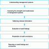Figure 3 - Steps in carrying out an internal environmental audit (based on Annex III, 2)