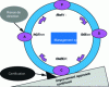 Figure 1 - The PCDA principle of continuous improvement