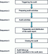 Figure 1 - Audit steps