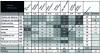 Figure 11 - Example of a summary table cross-referencing activities and risks