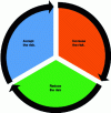 Figure 7 - Risk management options