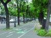 Figure 1 - In midsummer, avenue trees provide important shade for city life (photo: P. Clergeau)