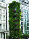 Figure 4 - Facade of the Athenaeum Hotel, London