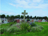 Figure 11 - Flower bed in the East cemetery in Rennes (35) (© Jonathan Flandin, ARB îdF – 2013)