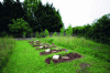 Figure 31 - Souché natural cemetery in Niort (79) (© Gilles Lecuir, ARB îdF – 2014)