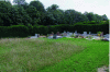 Figure 39 - Meadow managed with late mowing in the Gonards cemetery in Versailles (78) (© Jonathan Flandin, ARB îdF – 2013)