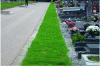 Figure 7 - Grassing of a sidewalk in the Est cemetery in Rennes (35) (© Jonathan Flandin, ARB îdF – 2011)