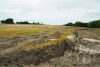 Figure 24 - Initial site (Photo SIAH)