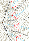 Figure 6 - Keypoints and Keylines