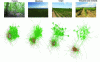 Figure 15 - Influence of land use intensity (forests < grasslands < crops < vineyards and orchards) on the complexity of bacterial co-occurrence networks in soil