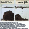 Figure 26 - Illustrating the role of microbial diversity in soil structural stability