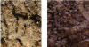 Figure 6 - Soils reworked by earthworm activity: left, earthworm galleries; right, earthworm droppings (photo credit: D. Piron).
