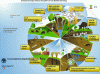 Figure 9 - Soil ecosystem services (FAO 2015 [5])