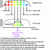 Figure 10 - Community assembly using filter theory