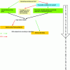 Figure 19 - Proposed decision rules for the management
of spontaneous or sown plant cover (source: Deplanche and Metay, SITEVI
presentation, November 2023) depending on the year and the nature
of the weed flora, the plant cover strategy in wine-growing plots.