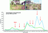 Figure 12 - Total abundance of microarthropods in the Maures in the context of a firebreak managed as an agro-sylvo-pastoral system, fertilized or not with sludge from wastewater treatment plants (sampling with bags of litter containing cork oak leaves) (modified from [14]).