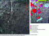 Figure 9 - Identification of structures formed or modified by earthworms and plant roots on a soil profile built to restore a former industrial site [7].