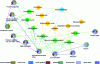 Figure 6 - Conceptual representation of the cascade of biological and urban functions provided by biological heritage in urban soils (after Guilland et al. [12]): yellow circles, biological functions; green circles, urban functions. Camemberts: different colors associated with ecosystem services responding to different issues