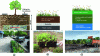 Figure 7 - Examples of horizon organization in constructed technosols noted in the literature for: a) stormwater management system [77], b) green roof [110] and c) soils degraded by contamination [75].