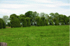 Figure 12 - High hawthorn hedge, trimmed on the sides, discontinuous (photo: J. Baudry)