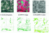 Figure 16 - Three cartographic representations based on different images [6].