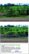 Figure 20 - Reading hedges in a landscape (Cotentin bocage) (photo: J. Baudry)