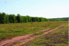 Figure 38 - Cranberry field with windbreak designed for pollinators, Prince Edward Island, Canada (photo: J. Baudry)