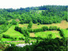 Figure 41 - In Auvergne, meadows protected from vole outbreaks by hedgerow predators (photo: J. Baudry).