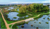 Figure 13 - Permanent and temporary wetlands on the Vignois site, now a flood expansion zone (© SIAH Croult et Petit Rosne)