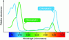 Figure 4 - Light absorption spectrum of chlorophyll photosynthetic pigments (source: after Valeur & Bardez (2015) [2])