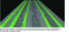 Figure 7 - Typical cross-section modelling in accordance with NF EN 13201 for a boulevard with tramway on the Ile de Nantes, on Dialux EVO 12 (2023) (modelling: CONCEPTO)