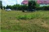 Figure 11 - Summer overgrazing in Vélizy-Villacoublay (Yvelines) (M. LAGARD, 2020)