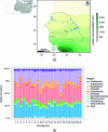 Figure 6 - (a) Transect* sampling of savannah soils on the west coast of Africa (Senegal and Burkina Faso) and (b) bacterial community composition at phylum level (Firmicutes are in pink on the histogram) [21].