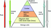 Figure 1 - Computer memory hierarchy